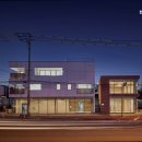 비비다아리 이미지