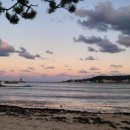 홈베이킹(금) 이미지