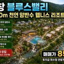 법인기업개발