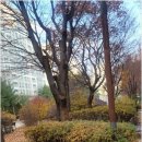 판교스마트공인중개사사무소 네이버블로그