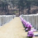 상전망향의공설묘지 이미지