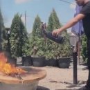 단골식당 이미지