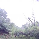 아치실마을 이미지