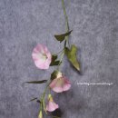 메꽃어린이집 이미지