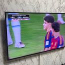 꼬기랑호프랑 | 신짜오 !