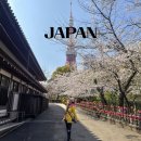 기차여행 | 오사카에서 도쿄 신칸센 타고 일본 기차여행 벚꽃 명소 후기