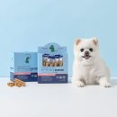 삼성덴탈 이미지