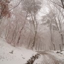 석수반점 이미지