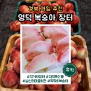 남산1리 | 영덕 복숭아 장터 직접 가보니 이 가격 실화? 위치 가격 정보 후기