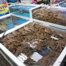 속초종합중앙시장 이미지