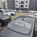 캐럿틴트