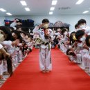 라이온 태권도장 이미지