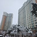 원주혁신도시토평공인중개사사무소 | 원주부동산 원주 중흥프라디움 아파트, 믿고 살 수 있는 곳