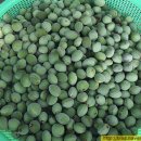 남송농장 이미지