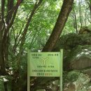 백세자연한의원 Daum카페