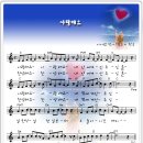 꿈이자라는땅 이미지