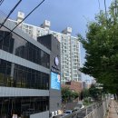 퍼피스테이 네이버블로그