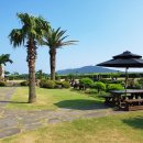 우도피아 이미지