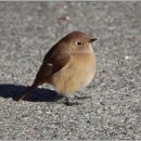 청천공원 이미지