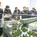 테제건축사사무소