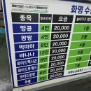 대평종합정비타운 | 부산 빠지 수상레저 끝판왕! 화명수상레포츠타운 BIG3 체험 후기 (빅마마· 와이드헥사곤·와플)