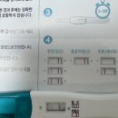 기쁜샘약국 | 갑자기 찾아온 소식 🥳 임신 6주차 (임테기, 증상, 아기집, 난황 확인)