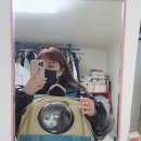 태평역 동물병원 이미지