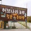 허브나라 자작나무집 이미지