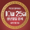 오늘의 운세 --- 2025년 10월 25일(음력 9월 5일) 丁卯 토요일 이미지