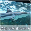 수산과학관 전시관 1층 화장실 | 국립수산과학원수산과학관 주차 해양 자원 기장 아이와 가볼만한곳