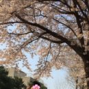 부개도서관(부일로 83번길 46) 이미지