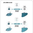 [안양 PT] 영양사가 바라본 스위치온 다이어트, 정말 나의 건강에 도움이 될까?