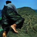 신통목장 이미지