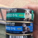 야옹아 멍멍해봐(에코시티점) 네이버블로그