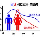 식물정 이미지