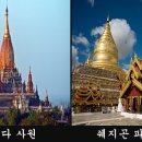 불타여행사 이미지