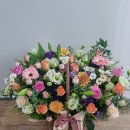 온라인)시낭송 아카데미 이미지