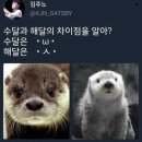 해달 이미지
