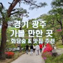 [경기/광주_내돈내산] 광주 화담숲 모노레일 &amp; 화담숲 근처 맛집 어선비