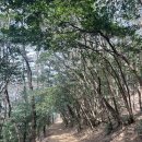 등대포토존 | 여수 돌산 가볼만한곳 - 포토존 명소 큰끝등대 후기