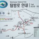 렉스타운 앞 이미지