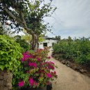 신풍민박 이미지