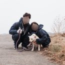 베스킨라빈스31당진 | Story 10. 즐거운 임신생활(안정기를 넘어서다)