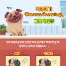 판교 행복한 동물병원 이미지