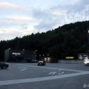 위시빌리 이미지