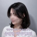 은혜헤어센스 - 포천시 내촌로 63 | 평촌역미용실 추천 더주안헤어 이수디자이너 레이어드컷 C컬펌 만족후기