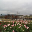 곡성-169 이미지