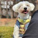 서울숲 주차장 화장실 이미지