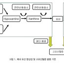 GM약국 이미지