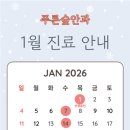 푸른숲안과